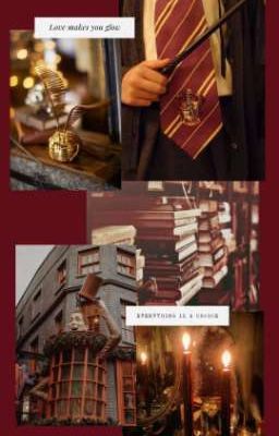 Новенькие?...Из России? 