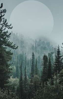 Хранители леса.