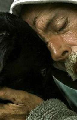 Рассказ одного щенка