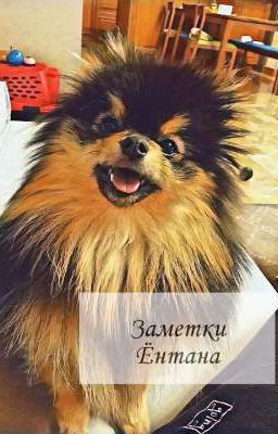 Дневник крутого собакена, или заметки Ёнтана 