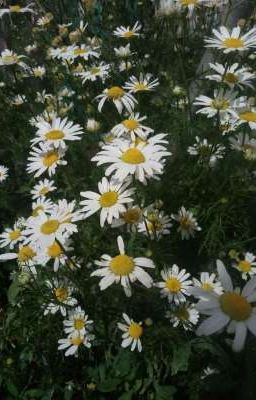 Грохот сквозь боль.