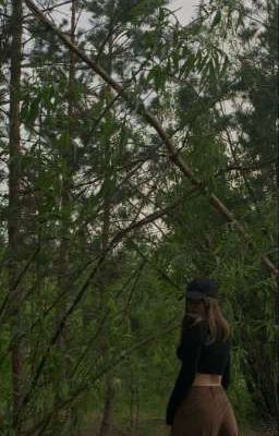 приключения на четыре жопы