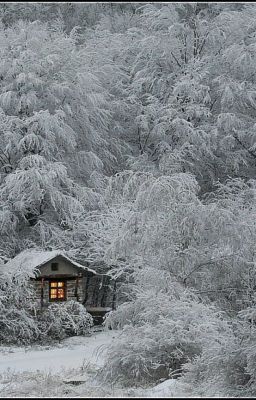 Жизнь с нуля