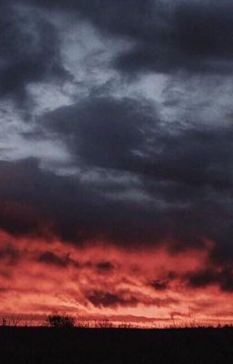 Полюби меня