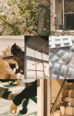 не переживай, все переживем;