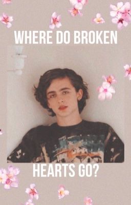 Where do broken hearts go? 