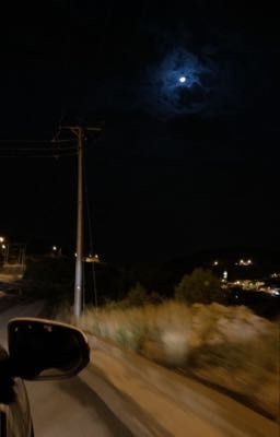 Между отчаянием и надеждой 