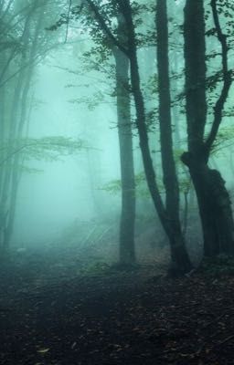 Лес, Который Помнит