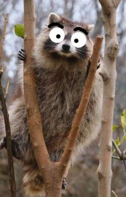 Какова Жизнь Ясипа И Его Друга Саши?