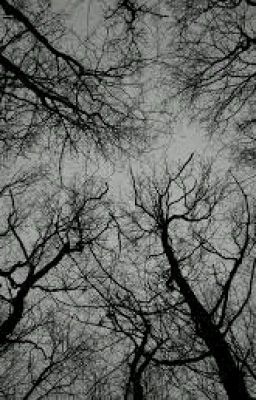 Five Waves 2:After 33 days