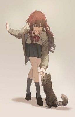 неожиданное приключение