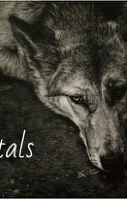 Оборотни, как собаки, любят поиграть, или Immortals.