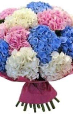 моя внешность 