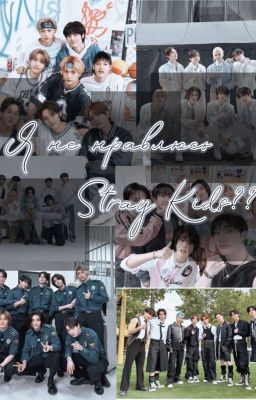 Я не нравлюсь Stray Kids