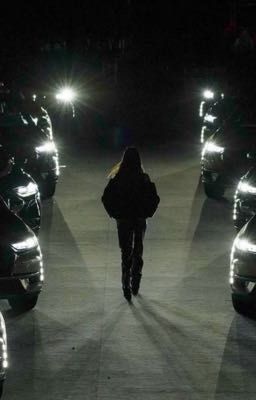 The saga of the future