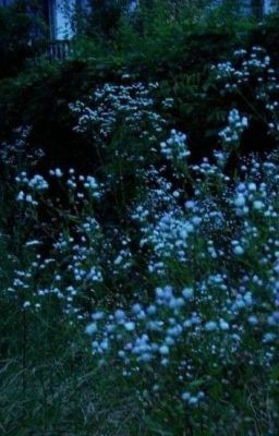 Лунный Люпин