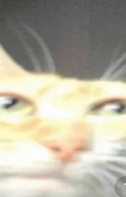 я изгой школы а мой брат ее король