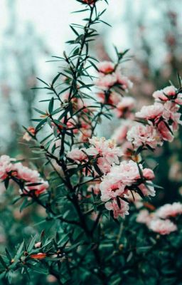 Сокровенный человек (А.П.Платонов)