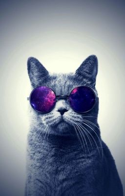    Кот без прикрас