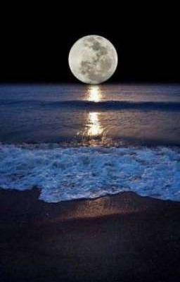 Instead Of A Killer Whale (Yoonmin)