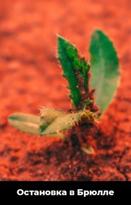 Остановка в Брюлле 