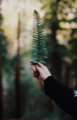 Извращенка