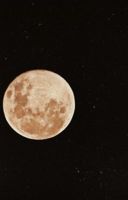 Совсем не сказка