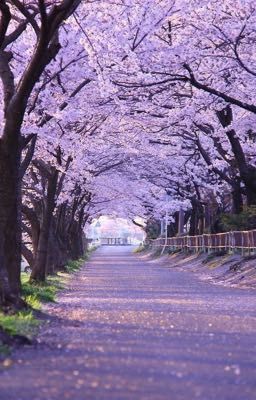 жизнь пикми всего ваттпада