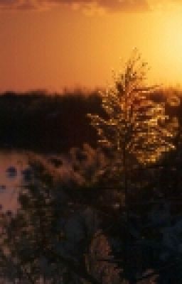 Крипипаста. Я вернулась.(2 Часть)