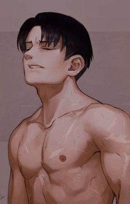 .•°Совместная_жизнь™Т/И с Леви™°•.