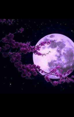 Встреча под луной