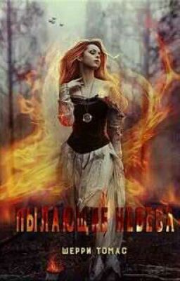 Пылающие небеса. Шерри Томас