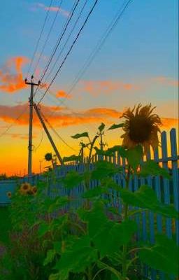 Заброшенная Деревня вампиров 