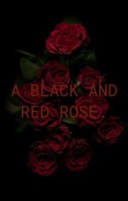 A BLACK AND RED ROSE [ЗАМОРОЖЕННО]