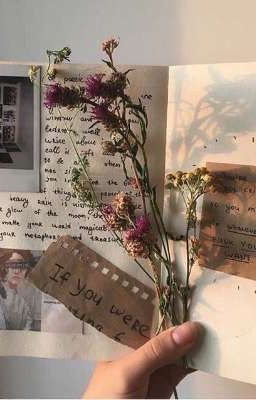 Твоё лицо совершенно такое же. 