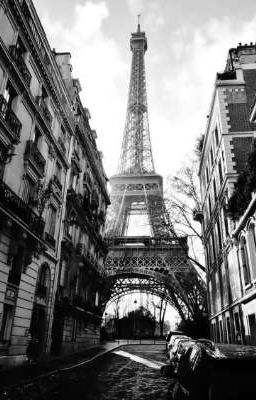 Город, в котором начинается жизнь 