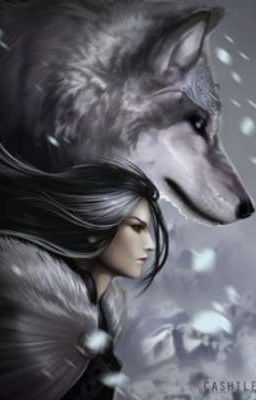 По обложке не судят 