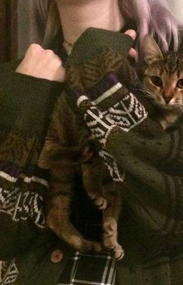 Тайный друг