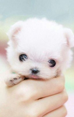 Вокруг извращенецы