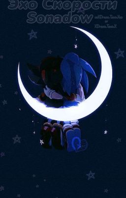 Эхо Скорости