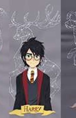 Судьба дала нам шанс.