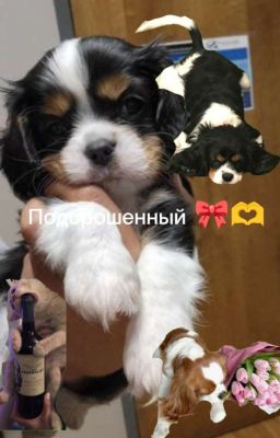 Подброшенный (ЗАВЕРШЕНО)