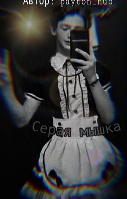 Серая мышка 