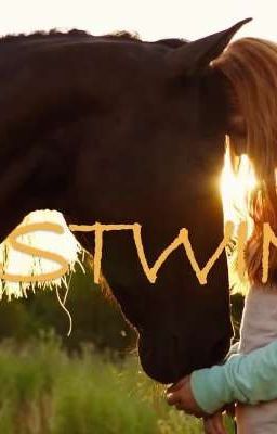 Приключения В Конном Лагере 🐎