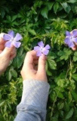 |•музыка её стихия•|