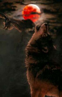 Волчье Обличье