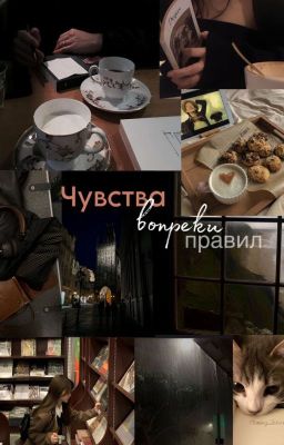 Чувства вопреки правил