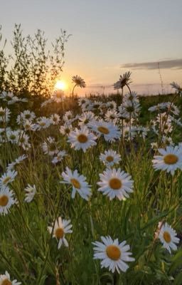 Непростая жизнь 