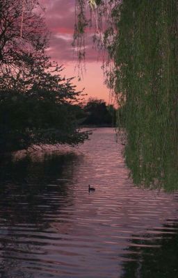 Луна для волчонка