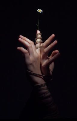 Любовь любит тишину